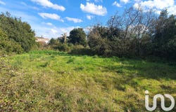 Curzon, Pays de la Loire 85540