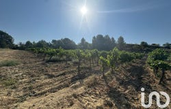PAILHES, Occitanie 34490