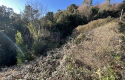Saint-Jean-du-Pin, Occitanie 30140