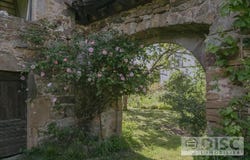 Laguépie, Midi-Pyrénées 82250