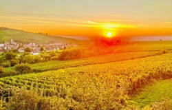 Ribeauvillé, Alsace 68150