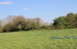 ARTIGUELOUTAN, Aquitaine 64420