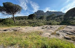 ROQUEBRUNE SUR ARGENS, Provence-Alpes-Côte d'Azur 83520
