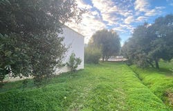 Lumio, Corsica 20260