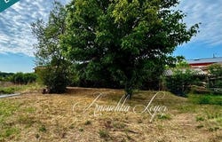 Saint-Maixant, Aquitaine 33490