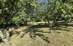 Pouzauges, Vendée 85700