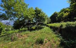 Santo-Pietro-di-Venaco, Haute-Corse 20250