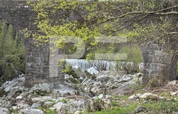 Lasalle, Languedoc-Roussillon 30460