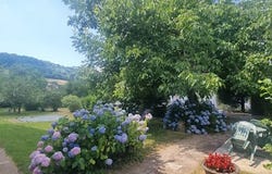 Marvelise, Bourgogne-Franche-Comté 25250