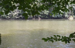 Saint-Antonin-Noble-Val, Tarn-et-Garonne 82140