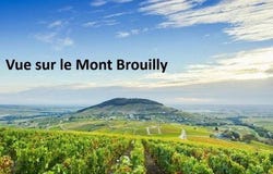 SAINT-LAGER, Auvergne-Rhône-Alpes 69220