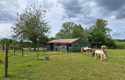 Le Gault-Soigny, Champagne-Ardennes 51210