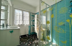 Cour-sur-Loire, Loir-et-Cher 41500
