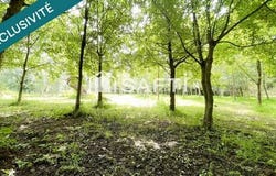 Mareuil-Sur-Lay-Dissais, Pays de la Loire 85320