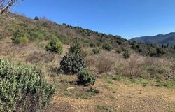 Feilluns, Languedoc-Roussillon 66730
