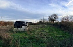 Moncoutant Sur Sevre, Poitou-Charentes 79320