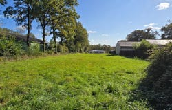 Allaire, Brittany 56350
