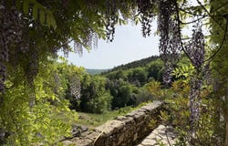 Saint-Cyprien, Aquitaine 24220