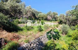 Ollioules, Provence-Alpes-Côte d'Azur 83190