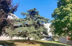 Villefranche-sur-Saône, Rhône 69400