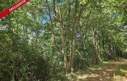Loretz d Argenton, Poitou-Charentes 79290