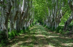 Lourmarin HH-15816469, Lourmarin, Provence-Alpes-Côte d'Azur 84160