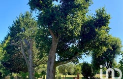 Aire-sur-l'Adour, Nouvelle-Aquitaine 40800