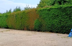 Pleslin-Trigavou, Côtes-d'Armor 22490