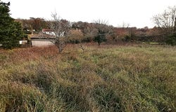 Croutelle, Nouvelle-Aquitaine 86240