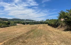 Saint-Maximin-la-Sainte-Baume, Var 83470