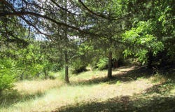 Eygliers, Provence-Alpes-Côte d'Azur 05600