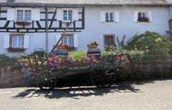 14 Rue des Hirondelles, 67160 Steinseltz, France, Steinseltz, Grand Est 67160