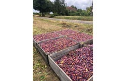 MIRABEL, Occitanie 82440
