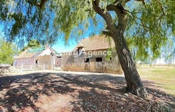 Rene, Pays de la Loire 72260