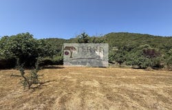 Serra-di-Fiumorbo, Corsica 20243