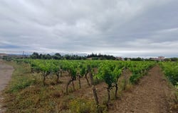 Siran, Languedoc-Roussillon 34210