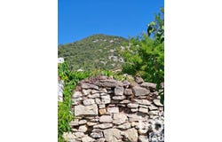 Saint-Hippolyte-du-Fort, Occitanie 30170