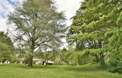 Cholet, Maine-et-Loire 49300