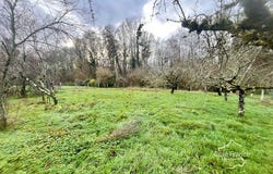 Toucy, Bourgogne-Franche-Comté 89130