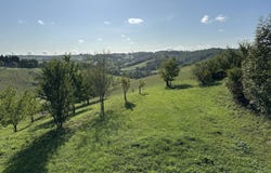 L'Isle-en-Dodon, Haute-Garonne 31230