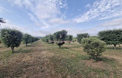 sainte neomaye, Nouvelle-Aquitaine 79260