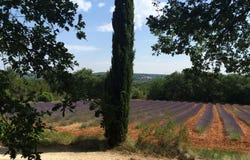 Grignan, Rhône-Alpes 26230