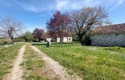 SAILLAC, Midi-Pyrénées 46260