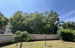 Schiltigheim, Bas-Rhin 67300