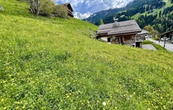 Le Grand-Bornand, Haute-Savoie 74450