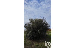 Tulette, Auvergne-Rhône-Alpes 26790