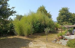 Hagetmau, Aquitaine 40700