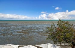 LA FLOTTE, Poitou-Charentes 17630
