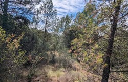Carcès, Var 83570
