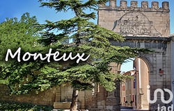 Monteux, Provence-Alpes-Côte d'Azur 84170